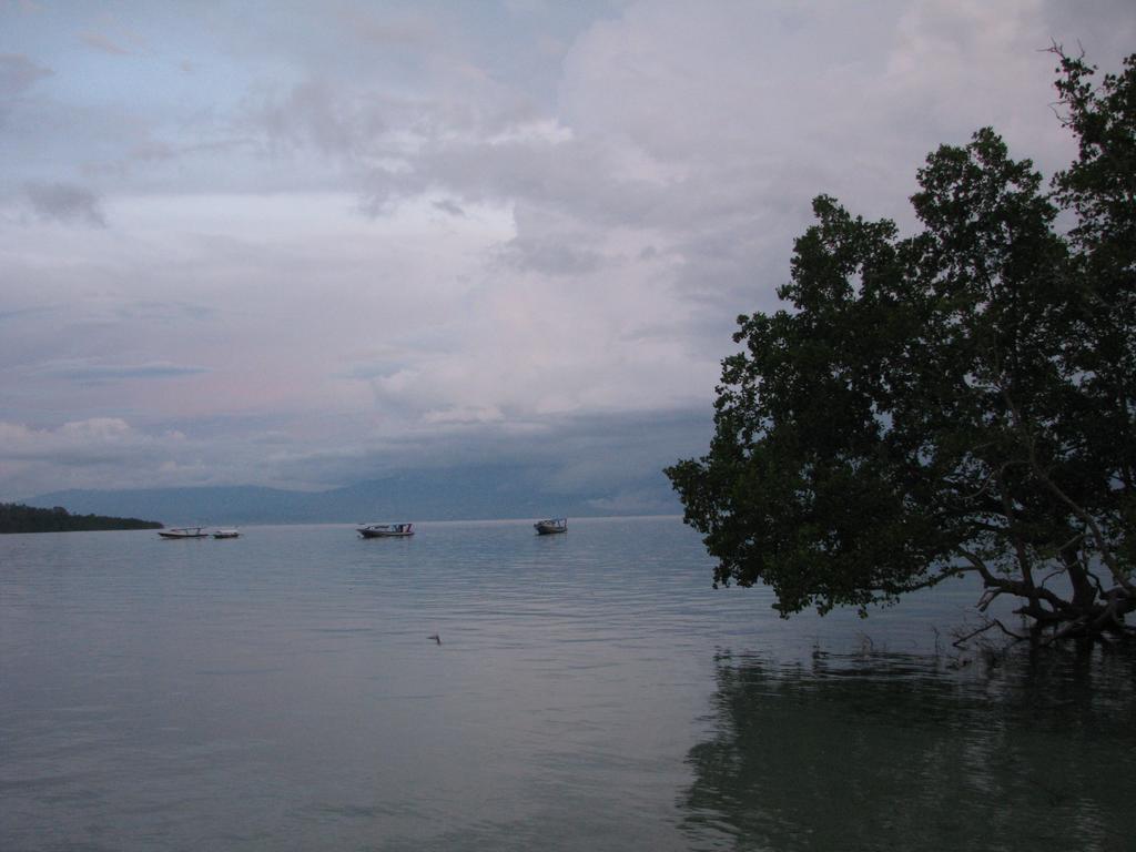 Happy Gecko Dive Resort บูนาแกน ภายนอก รูปภาพ